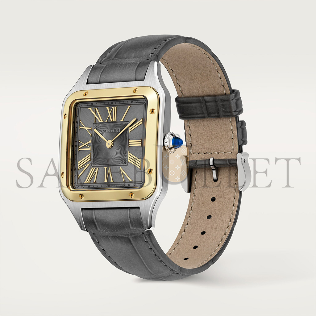 CARTIER SANTOS-DUMONT WATCH W2SA0028